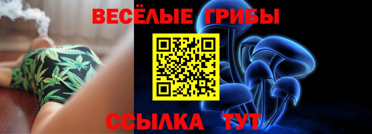 Псилоцибиновые грибы GOLDEN TEACHER  Вход с VPN  Озёрск  Псилоцибиновые грибы GOLDEN TEACHER 